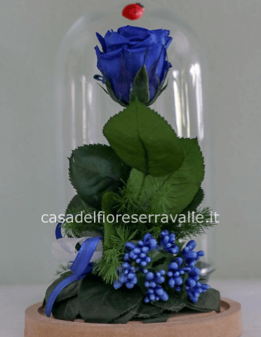 Cloche con rosa stabilizzata - BLU