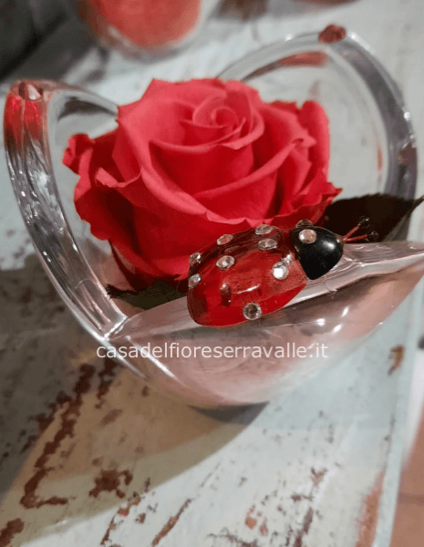 Rosa rossa stabilizzata in calice di vetro con Swarovski